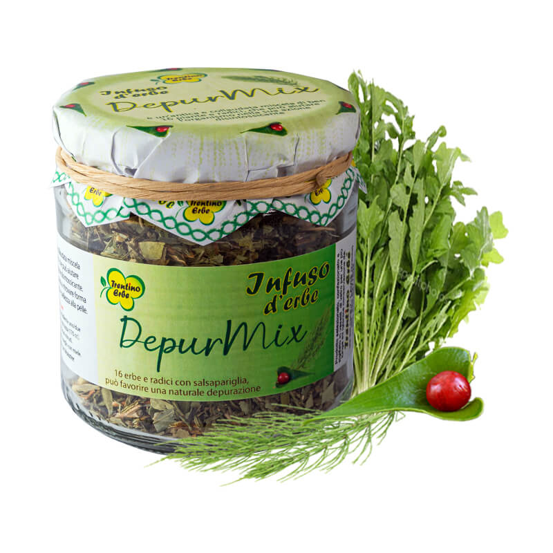 depurmix-trentino-erbe Vendita online Tisana Depurativa