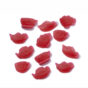 Caramelle Solubili Ribes e Ciliegia