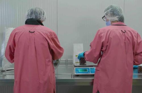 Laboratorio Lavis